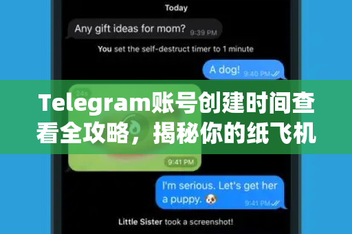 Telegram账号创建时间查看全攻略,揭秘你的纸飞机何时起航-第1张图片-TG中文版纸Telegeram|快速的即时通讯应用 Telegram账号创建时间查看全攻略,揭秘你的纸飞机何时起航-第1张图片-TG中文版纸Telegeram|快速的即时通讯应用