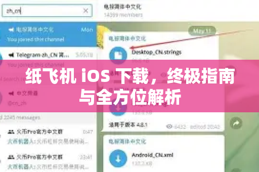 纸飞机 iOS 下载，终极指南与全方位解析