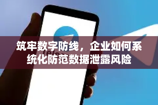 筑牢数字防线，企业如何系统化防范数据泄露风险-第1张图片-TG中文版纸Telegeram|快速的即时通讯应用