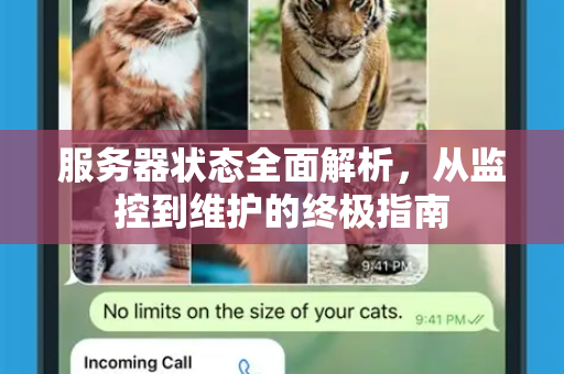 服务器状态全面解析,从监控到维护的终极指南-第1张图片-TG中文版纸Telegeram|快速的即时通讯应用 服务器状态全面解析,从监控到维护的终极指南-第1张图片-TG中文版纸Telegeram|快速的即时通讯应用