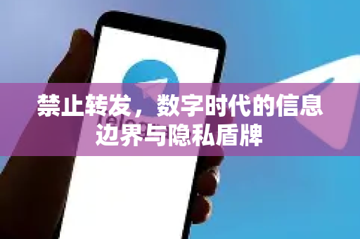 禁止转发，数字时代的信息边界与隐私盾牌