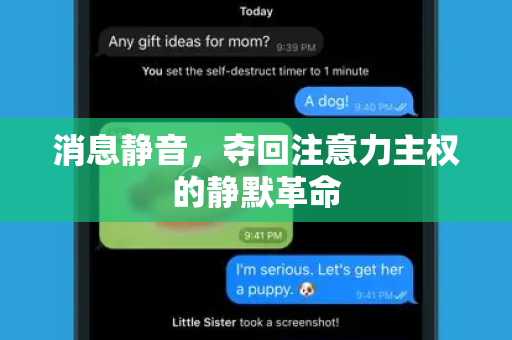 消息静音，夺回注意力主权的静默革命-第1张图片-TG中文版纸Telegeram|快速的即时通讯应用