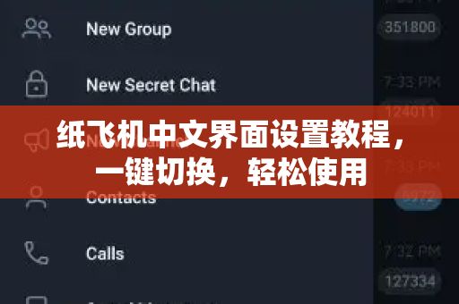 纸飞机中文界面设置教程，一键切换，轻松使用