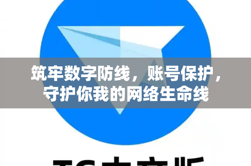 筑牢数字防线，账号保护，守护你我的网络生命线
