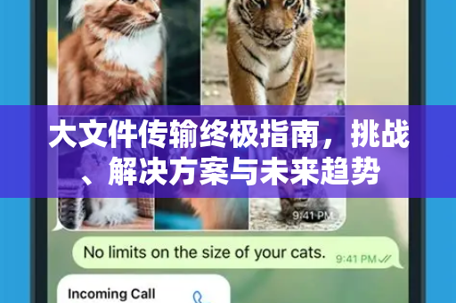 大文件传输终极指南，挑战、解决方案与未来趋势