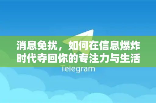 消息免扰，如何在信息爆炸时代夺回你的专注力与生活主动权