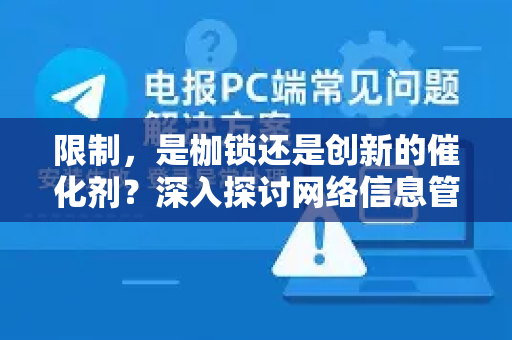 限制，是枷锁还是创新的催化剂？深入探讨网络信息管理的边界与未来