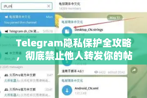 Telegram隐私保护全攻略，彻底禁止他人转发你的帖子-第1张图片-TG中文版纸Telegeram|快速的即时通讯应用