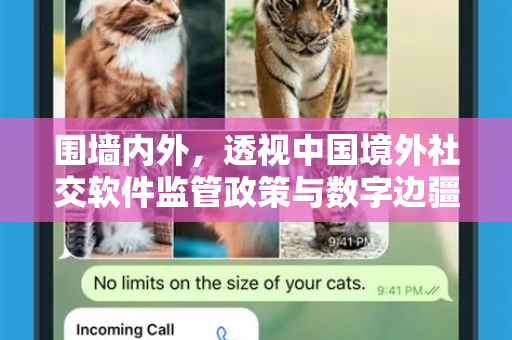 围墙内外,透视中国境外社交软件监管政策与数字边疆治理-第1张图片-TG中文版纸Telegeram|快速的即时通讯应用 围墙内外,透视中国境外社交软件监管政策与数字边疆治理-第1张图片-TG中文版纸Telegeram|快速的即时通讯应用